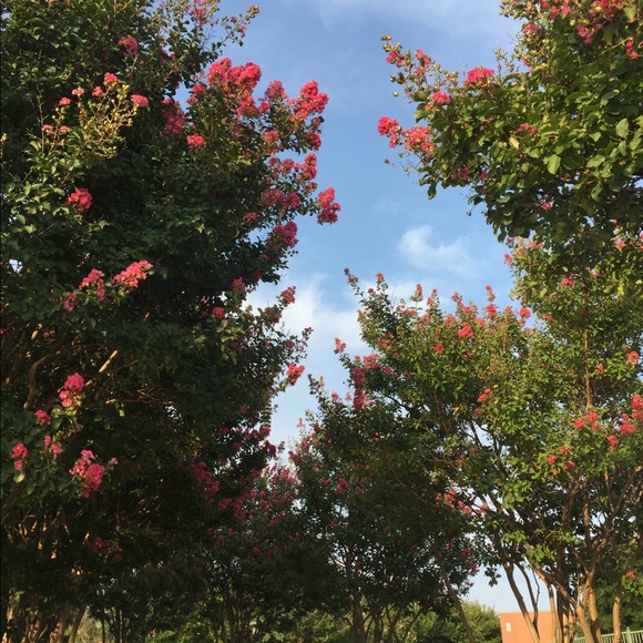 Meet your posher 👋🏼🙃👋🏼 - Picture 1 of 1